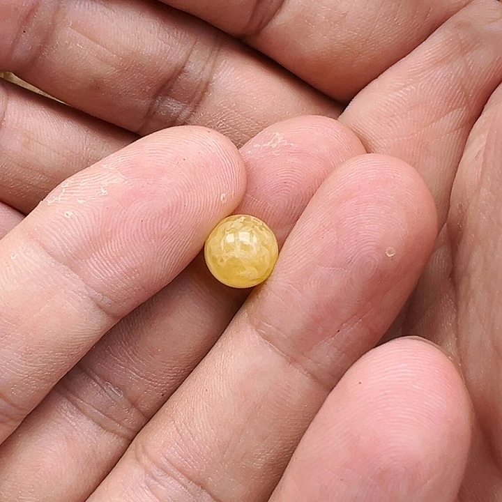 蜜蜡未镶嵌珠宝奇石单珠