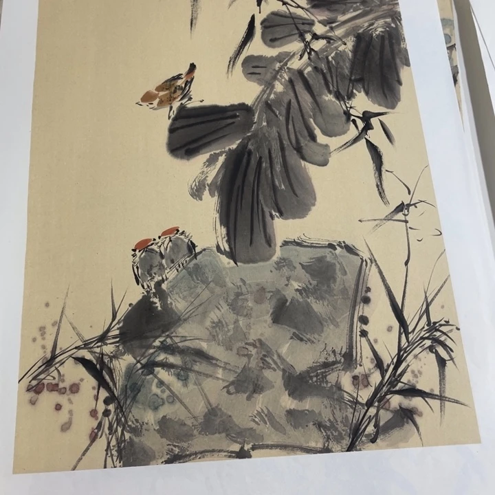 姜奇老师花鸟作品69×46