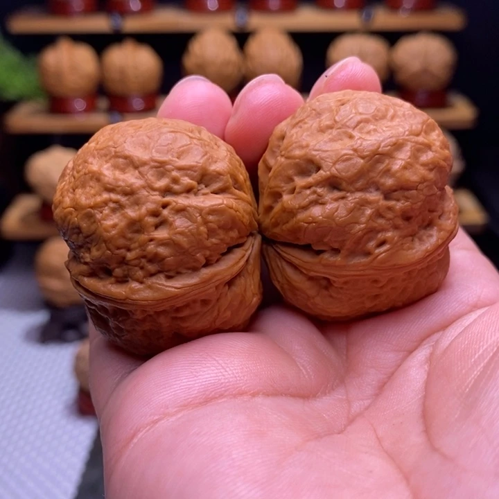 木质类云铁保山化石42号