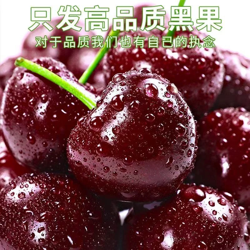 顺丰【次日达】进口空运桑提娜车厘子J-4J脆甜多汁礼盒包装坏果包赔