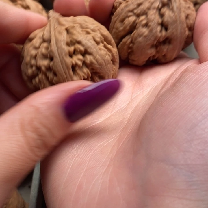 杨***2霸王龙全品无修一刀没动