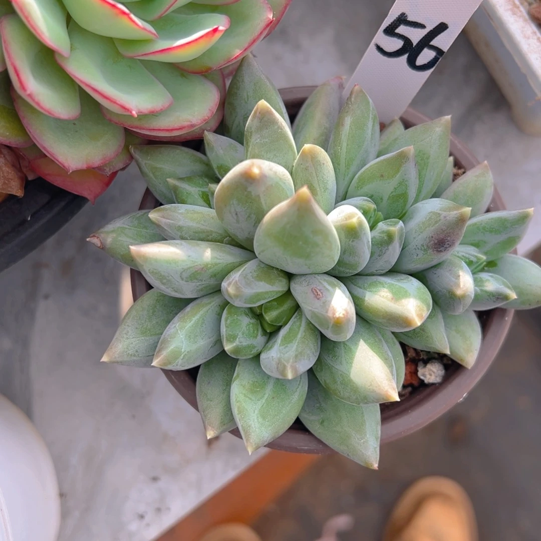 福利来了来了来了