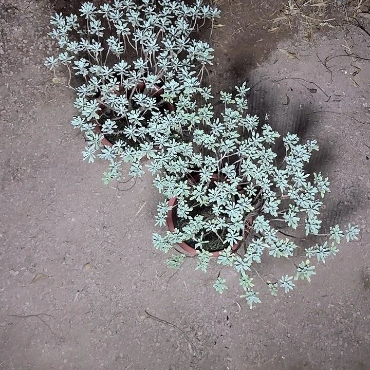 安***庄带土球哈哈哈哈哈哈哈