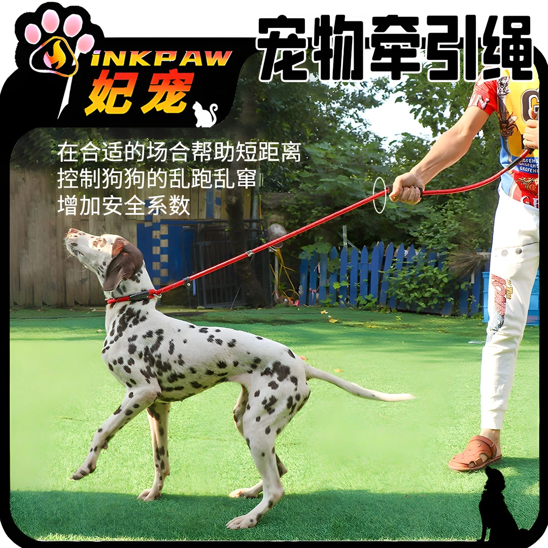 p链牵引绳狗链子狗绳宠物小型犬无需项圈狗背夹子牵引绳训犬