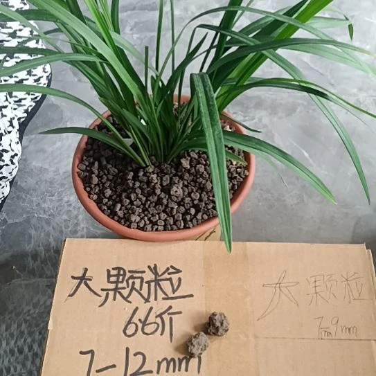 大***3兰菌颗粒大颗粒6.6斤