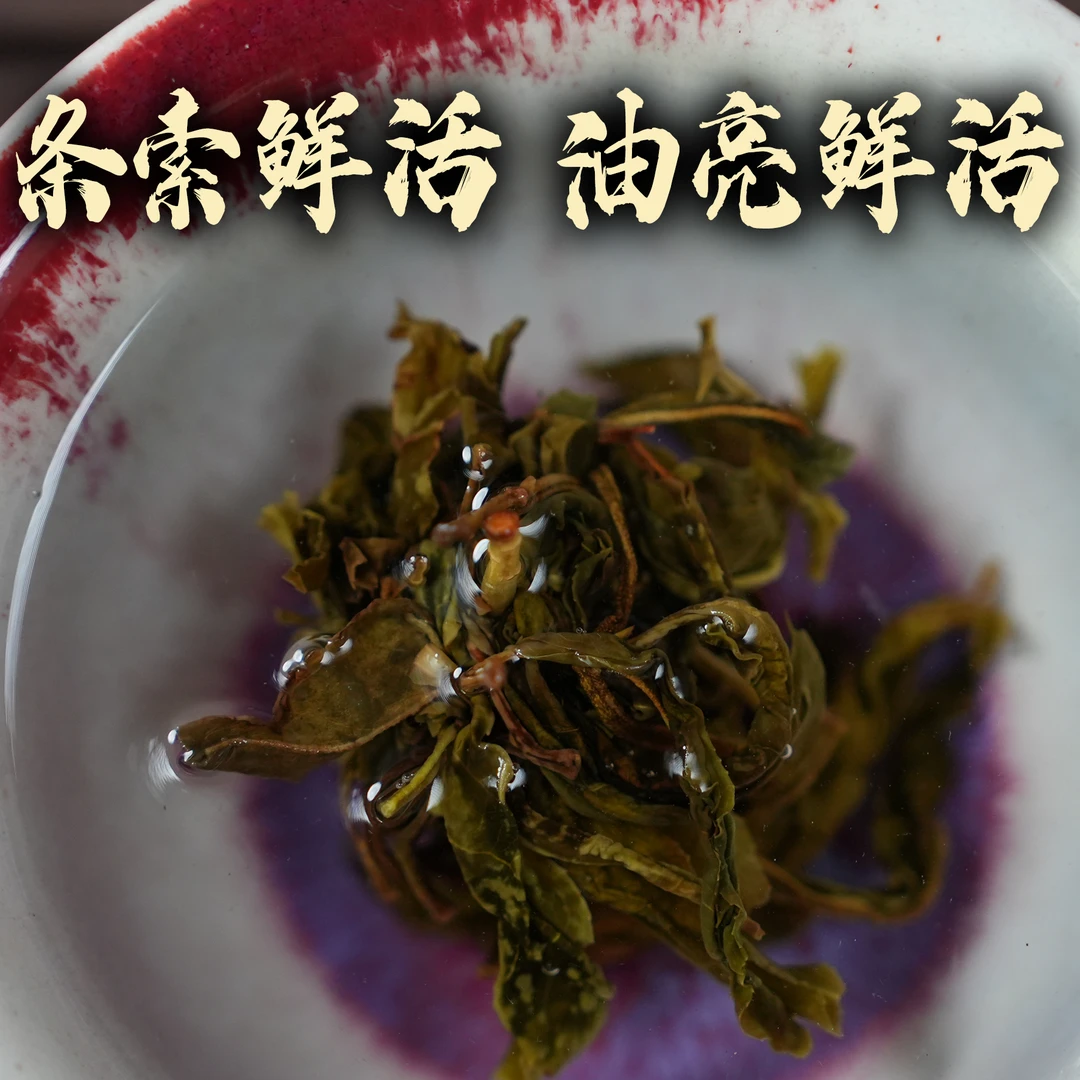 哀牢山-原生古韵-原生种龙珠-古树茶