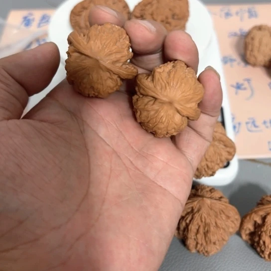 文玩核桃把件野狼37尺201号
