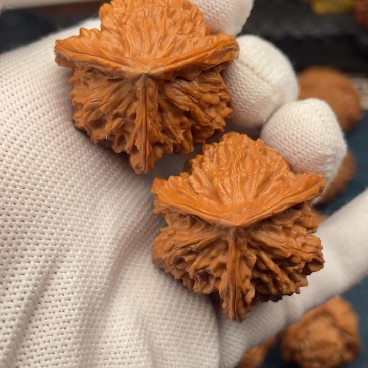 把件文玩核桃36盘山蜡皮奔同树果