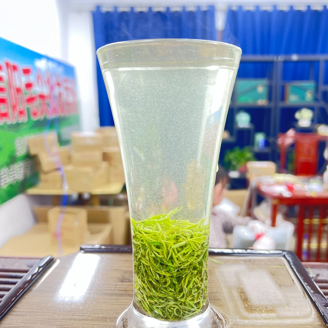 2025信阳毛尖 明前精选小芽芯 清香花香 鲜爽鲜甜