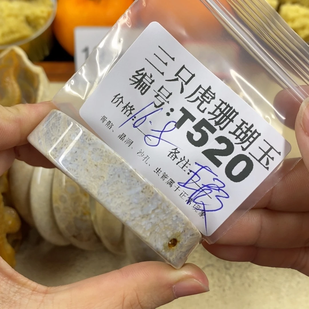 硅化珊瑚（珊瑚玉）1未镶嵌