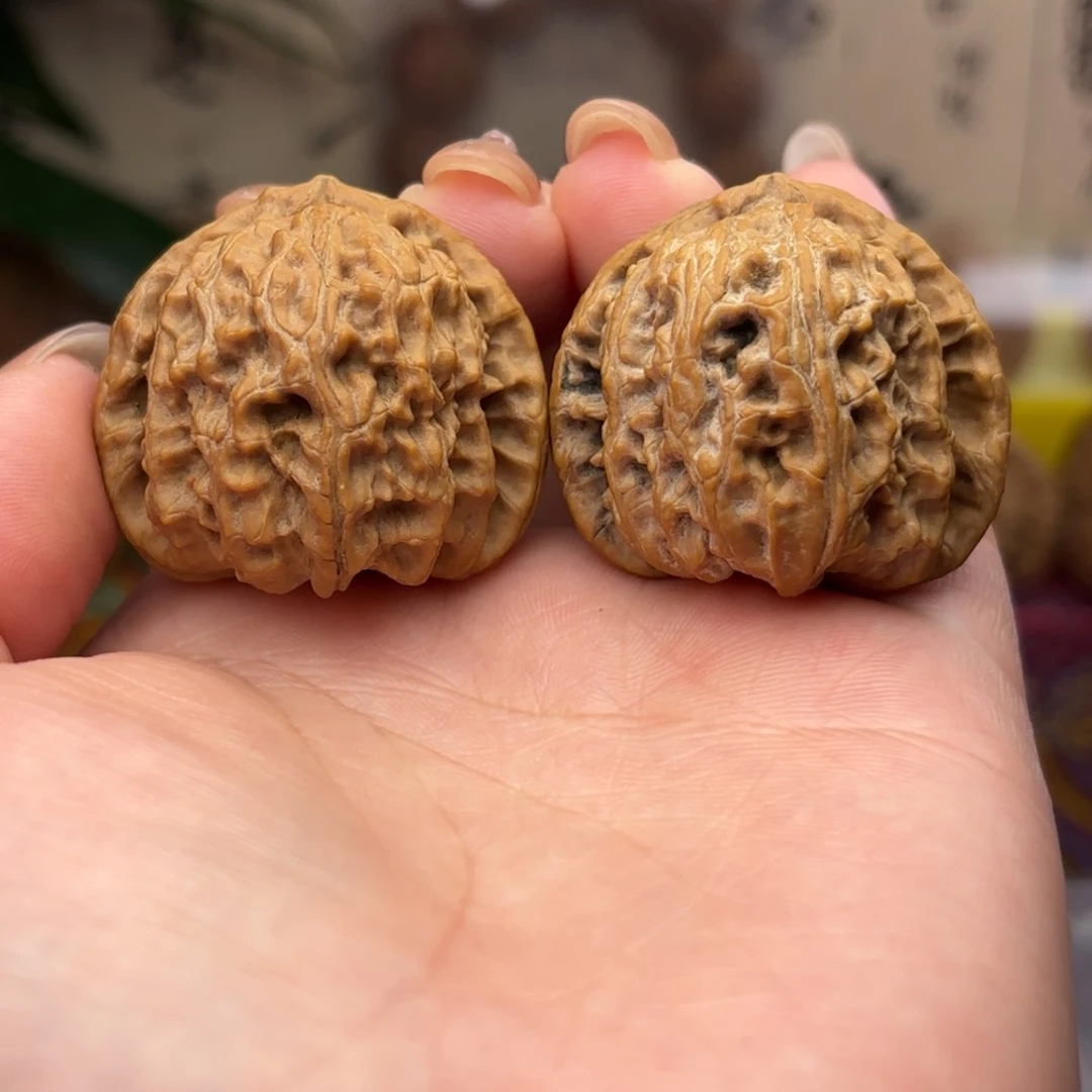 白狮子头三十六尺