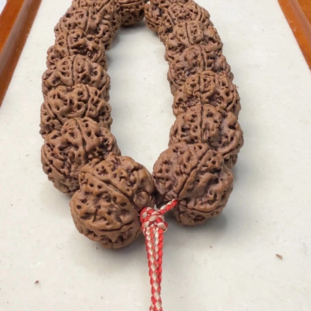 金刚菩提吊坠粗筋平头凹底梅花姜黄皮梁