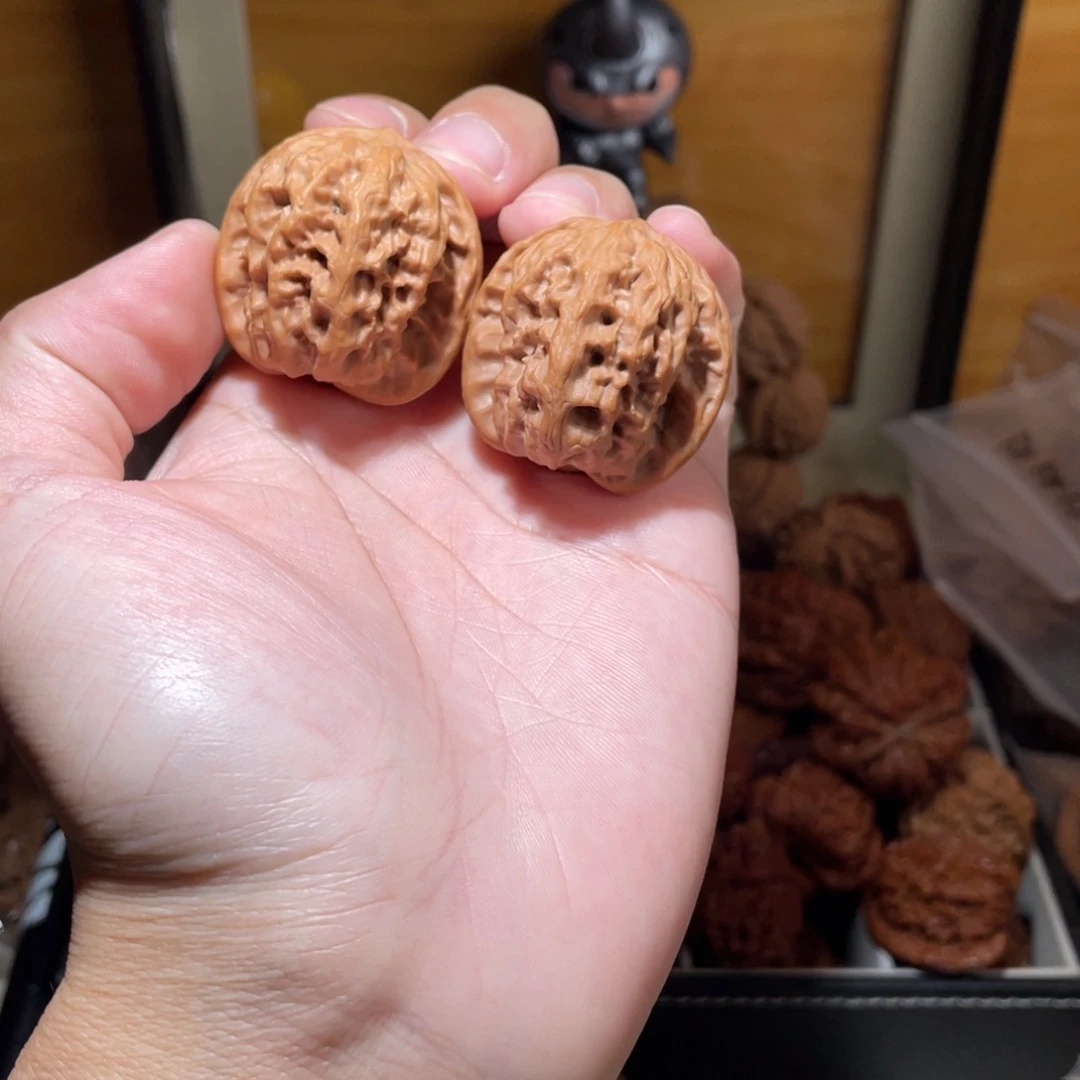 36尺寸全品无修野狼