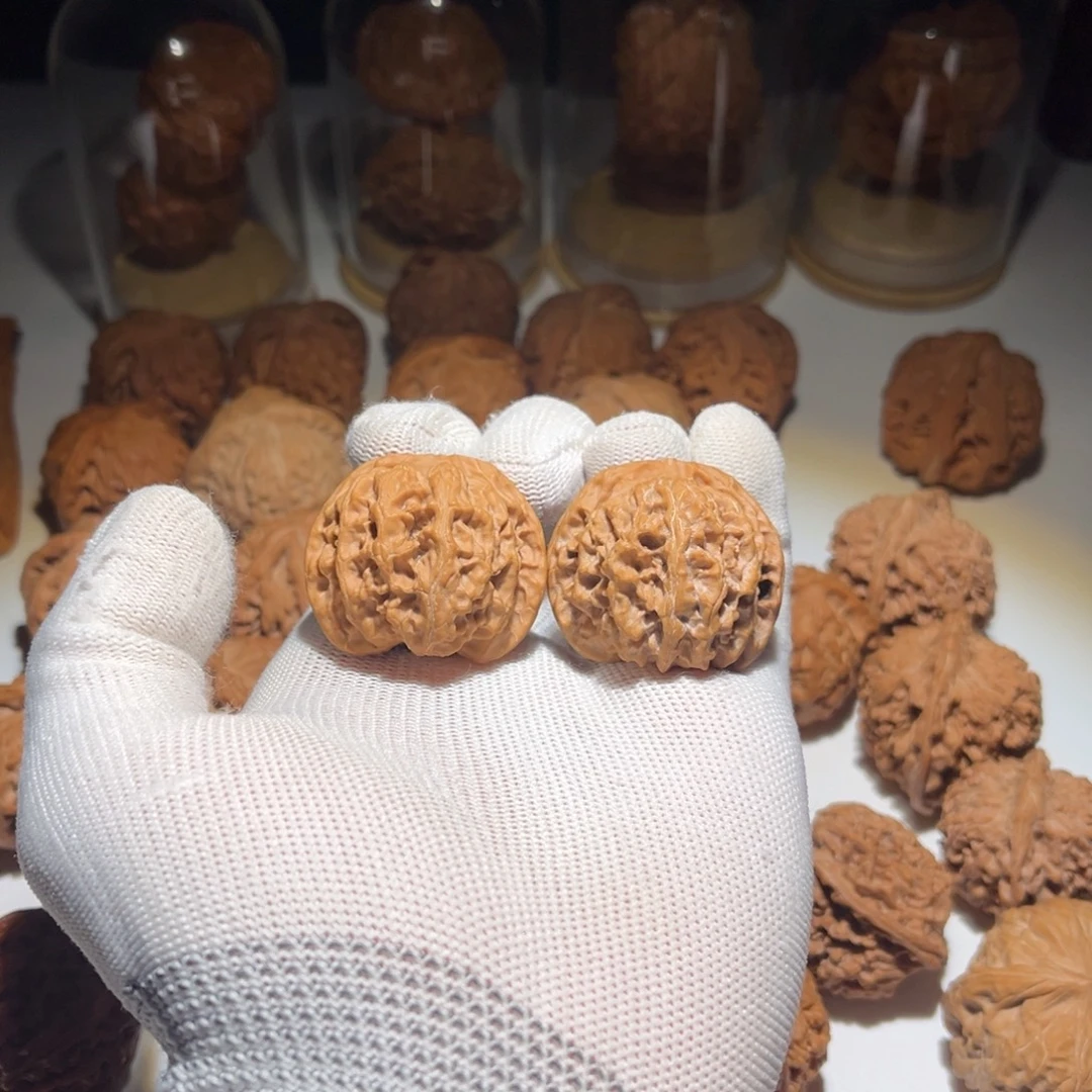 38全品苹果园核桃核桃