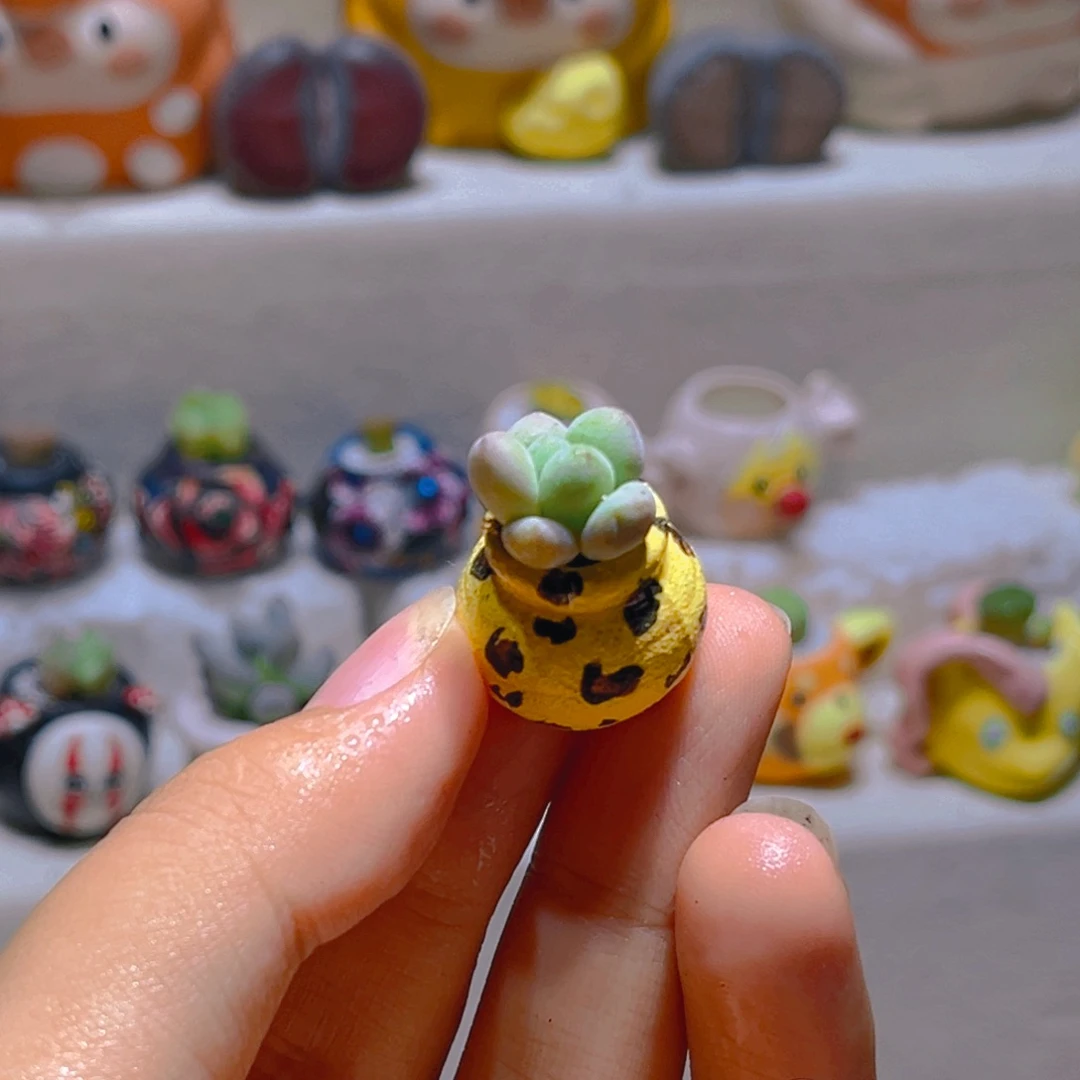 040草莓汤圆带盆带土手工盆