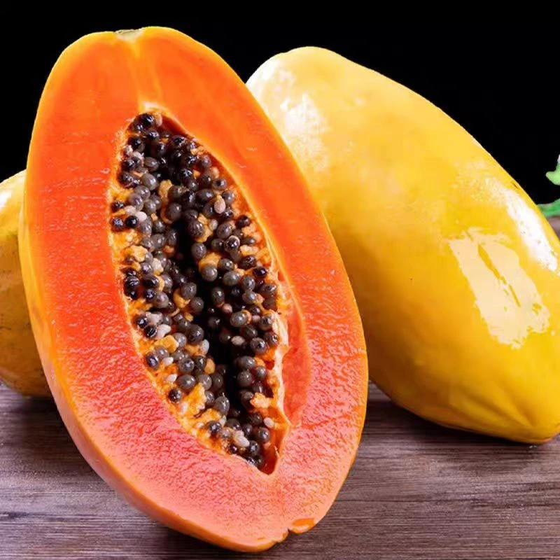 【京东顺丰包邮】自然树熟木瓜一个装1.8-2.2斤左右