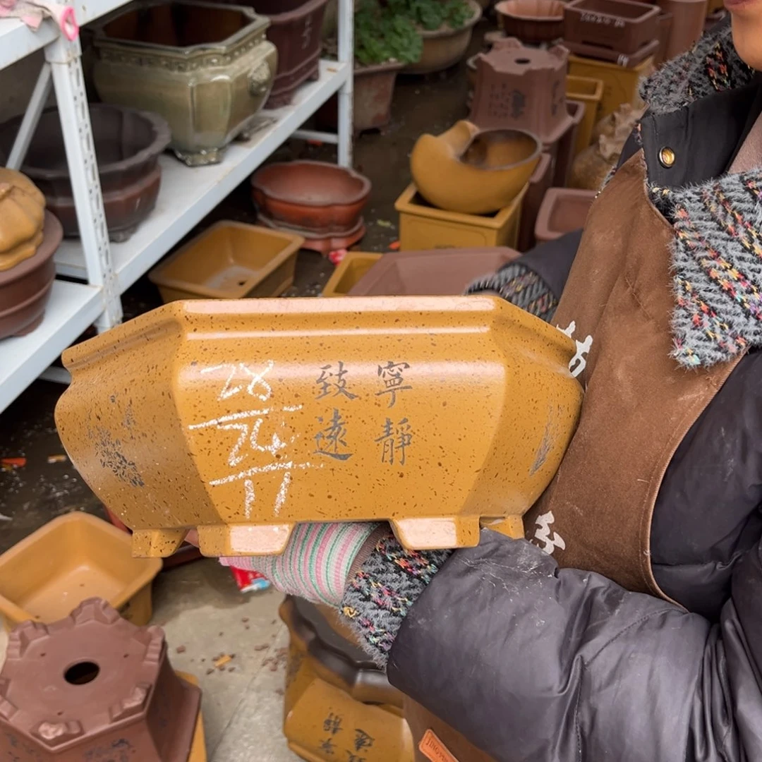 紫砂花盆盆景艺术