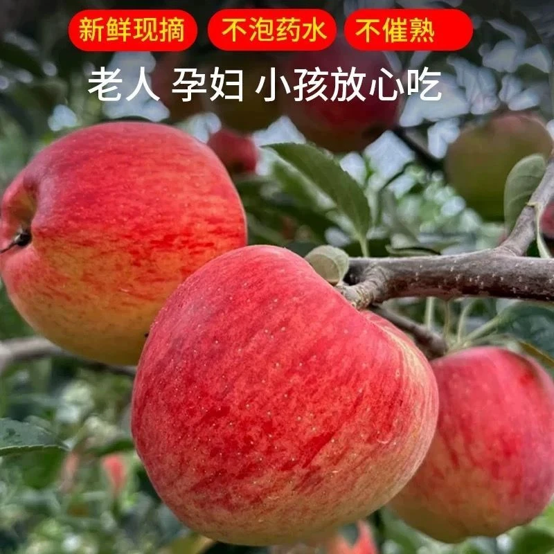 云南早熟华硕丑苹果农家种植现摘现发新鲜脆甜多汁2/5斤包邮