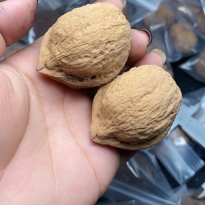 文玩核桃把件50号41mm