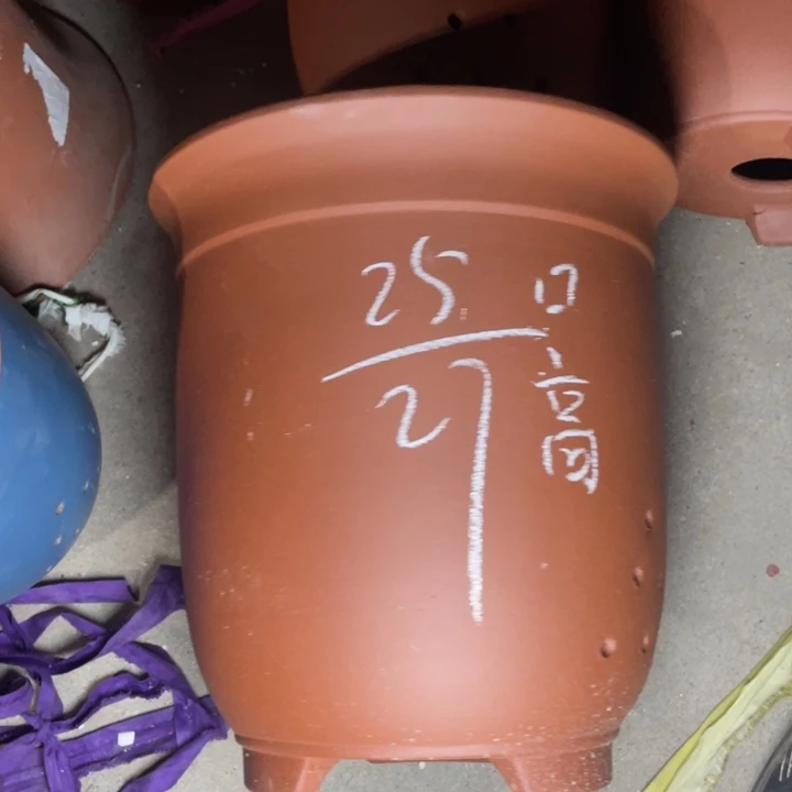 紫砂紫砂紫砂紫砂