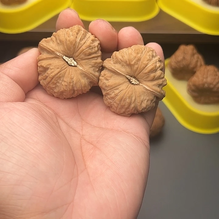 44尺精配头货全品南瓜墩