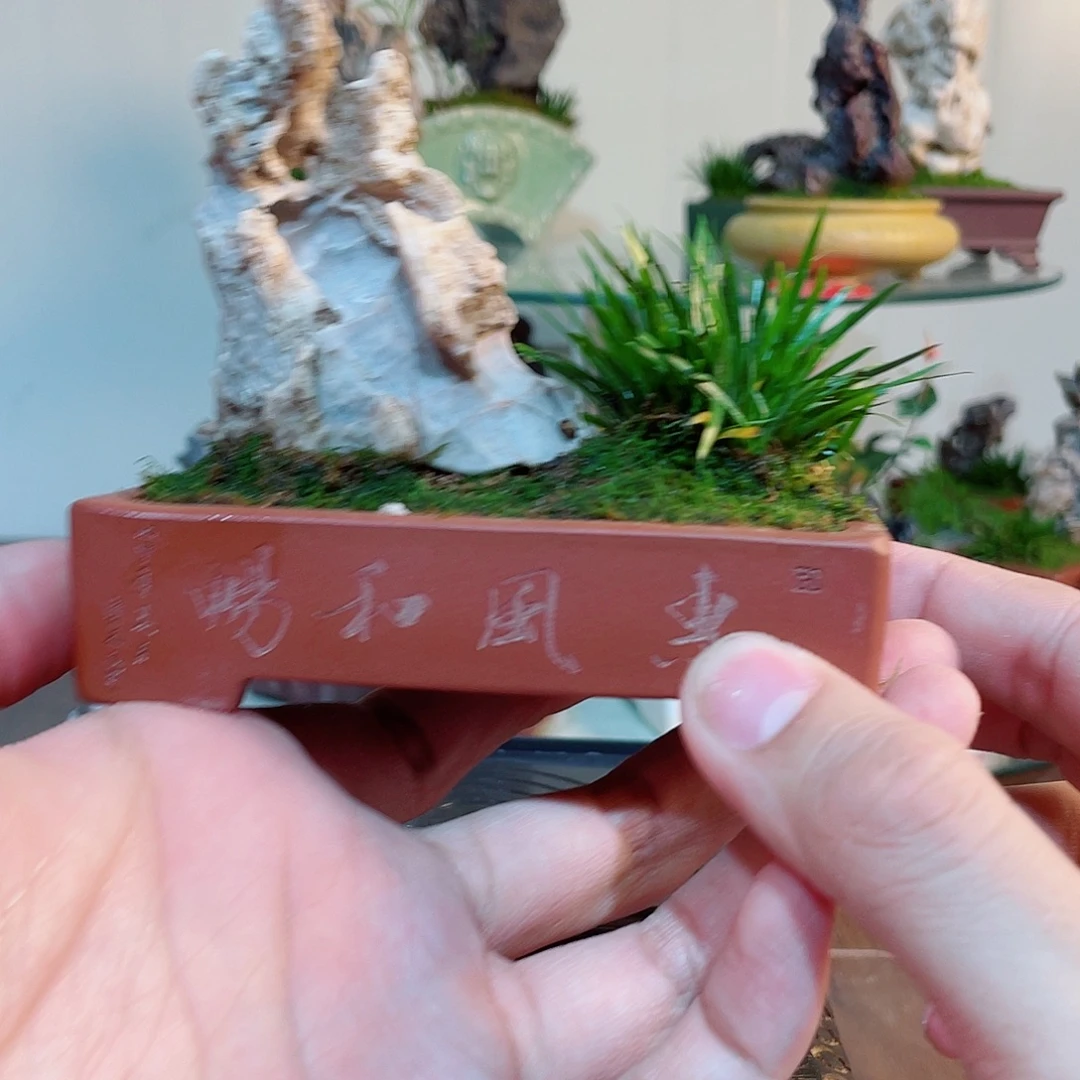 完全开放000000000031