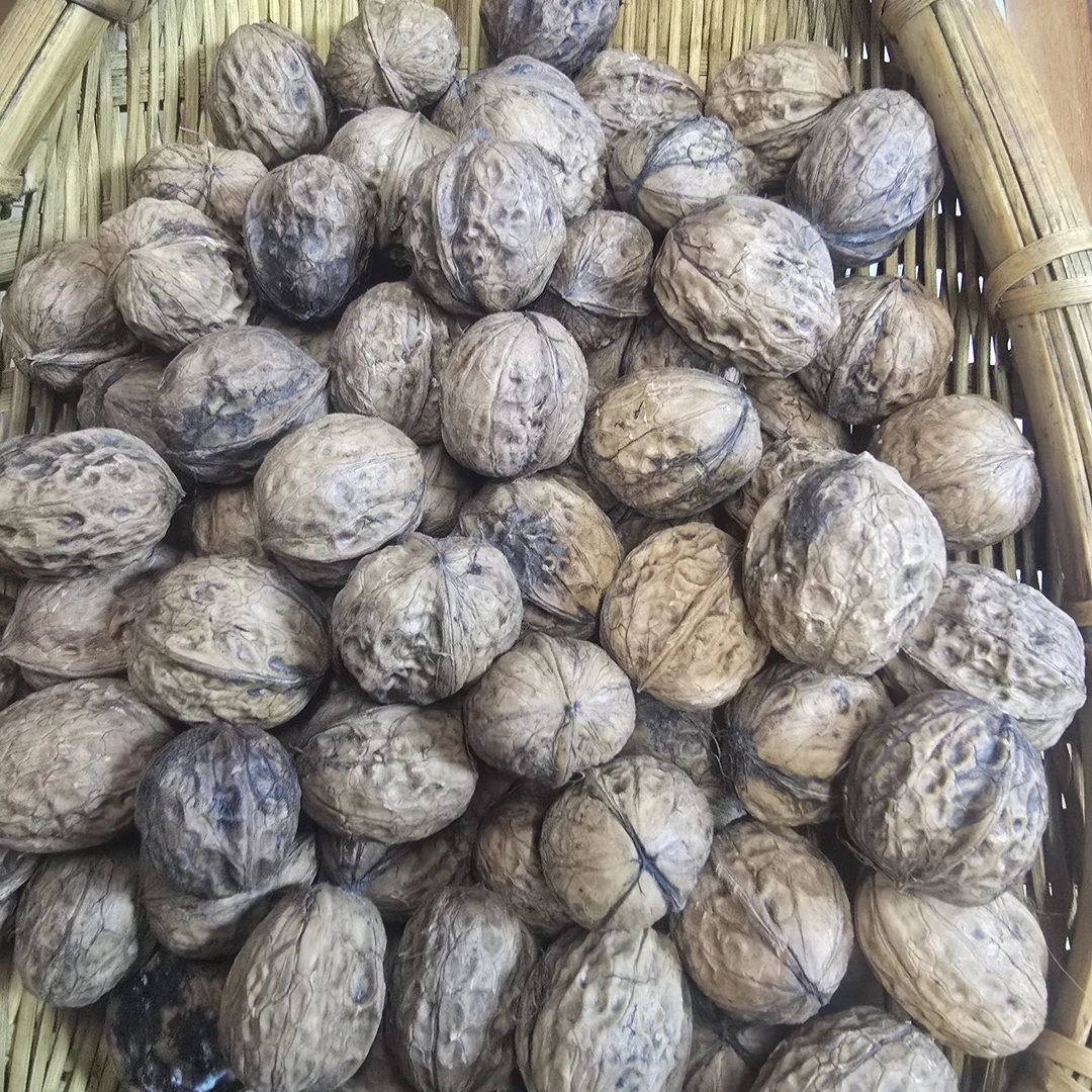 云南老树新鲜去青皮鲜核桃孕妇生核桃