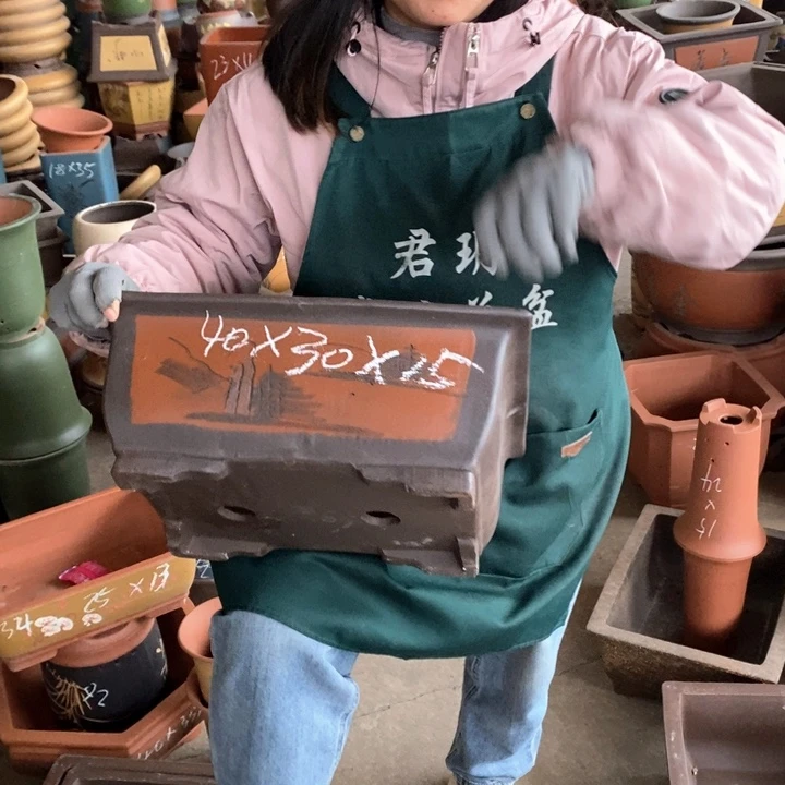 紫砂花盆盆栽花卉苗木种植