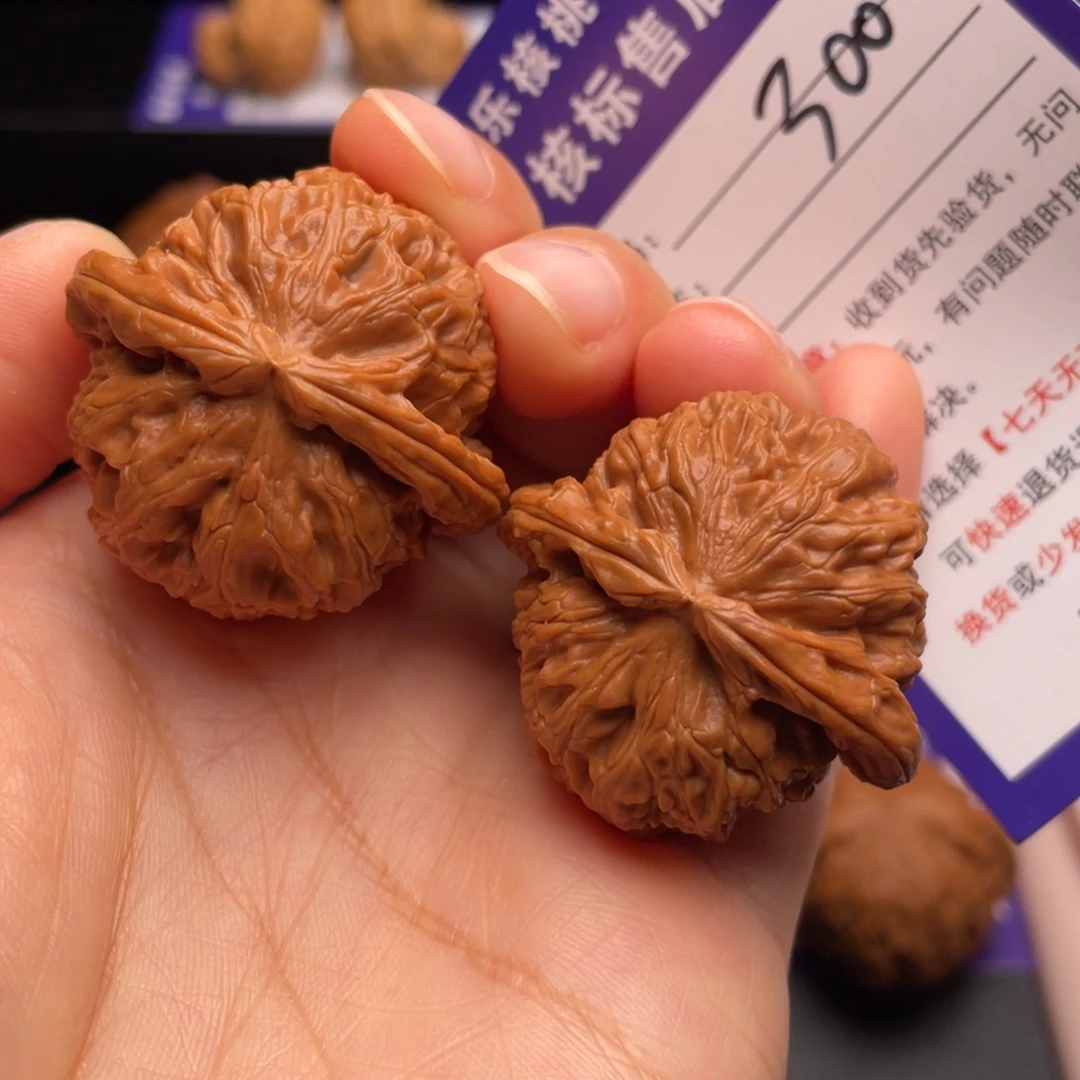 把件文玩核桃白狮子37尺