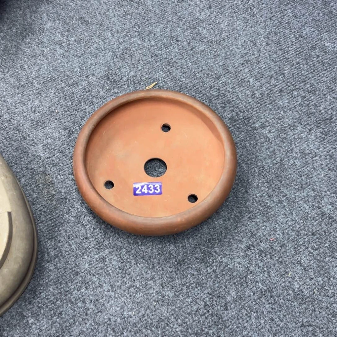 红陶张*生红红火火过大年2433