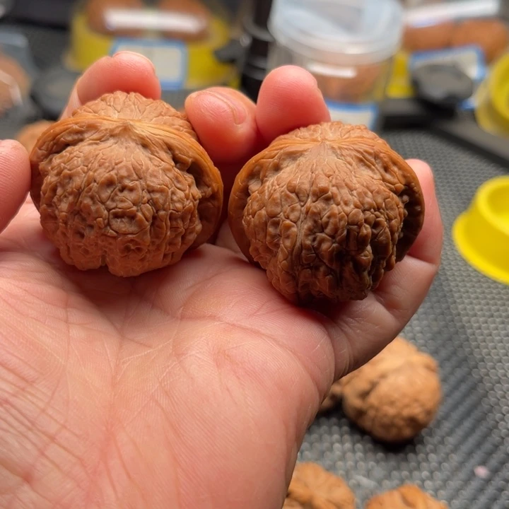 孤***狼桃核把件血麒麟边42