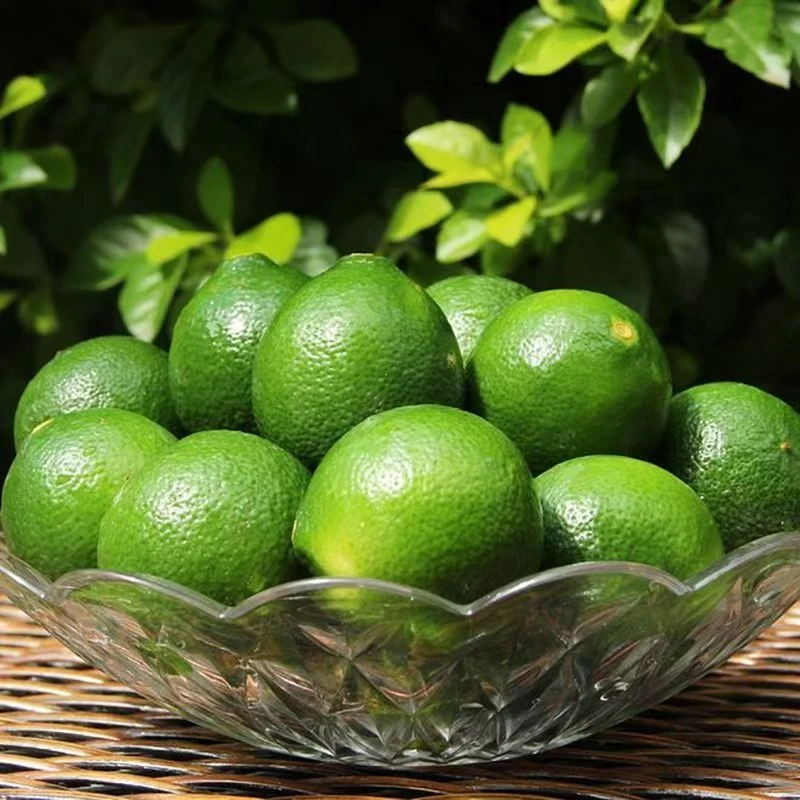 【产地直发】正宗无籽柠檬薄皮多汁现摘小青柠新鲜柠檬