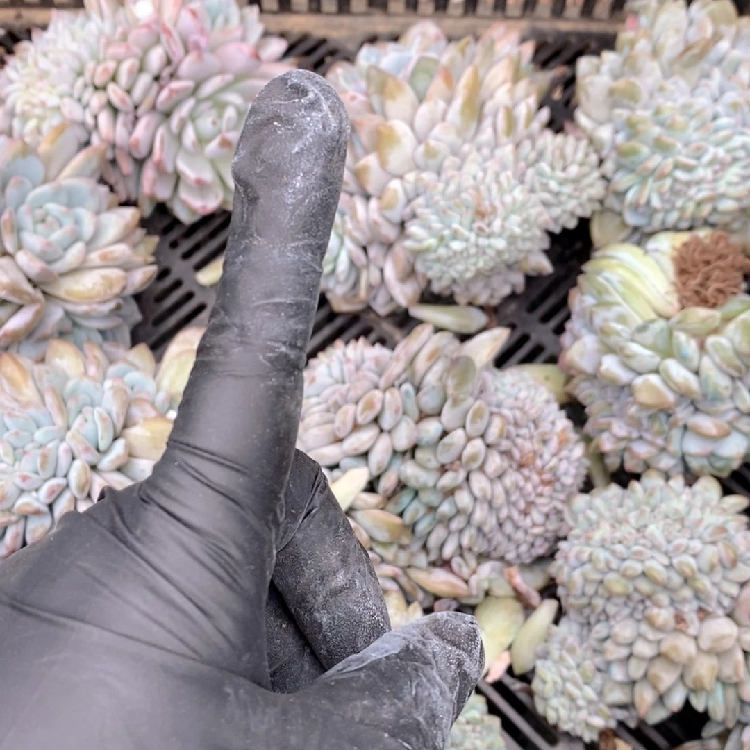 雨***盆缺口配好呀呀呀