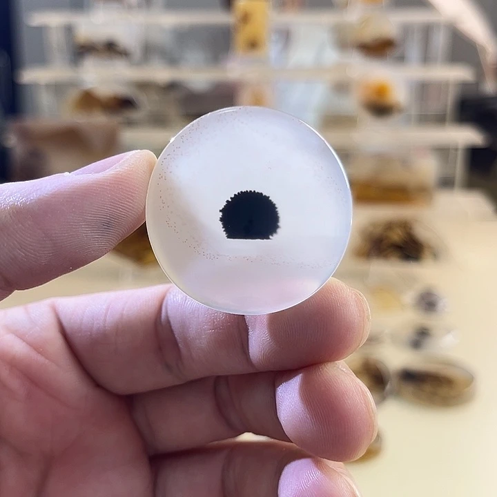 玛瑙/玉髓吊坠(不含链)未镶嵌