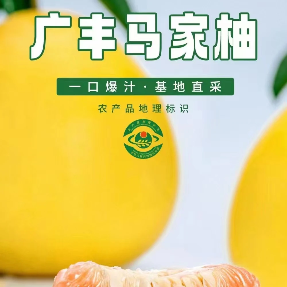【主播专属】正宗江西广丰马家柚核心产地果园直发