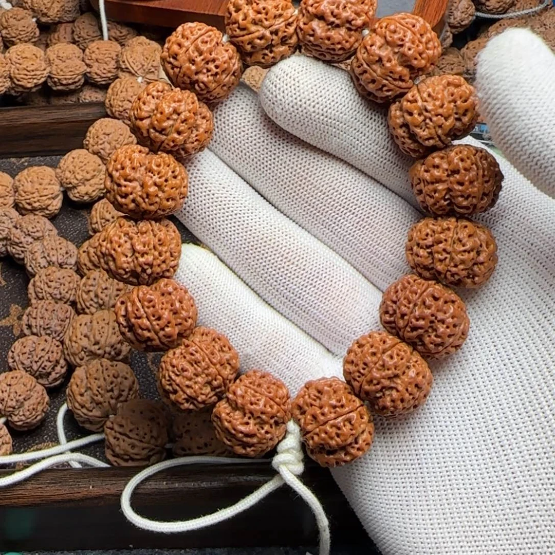 菩提金刚菩提21+蜂窝双龙