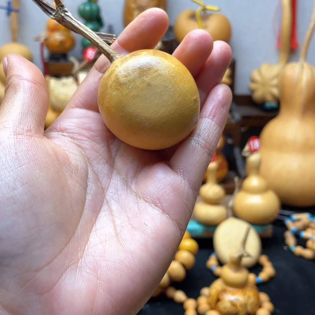 看*晴大自然的秘密第十节第二十