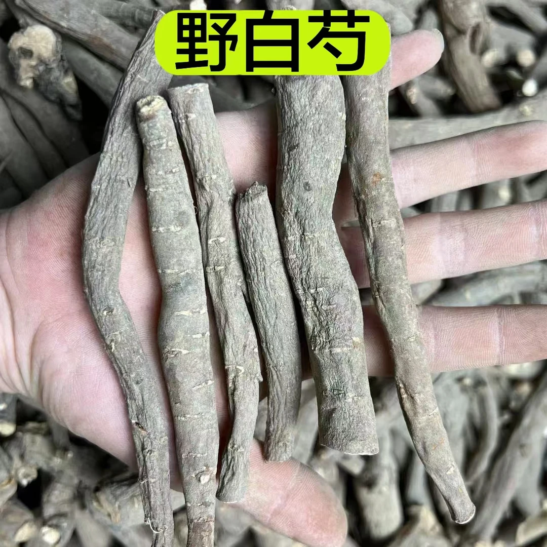 【野白芍】甘肃深山采挖野白芍 自然晒干 无熏硫 无添加 250克当归
