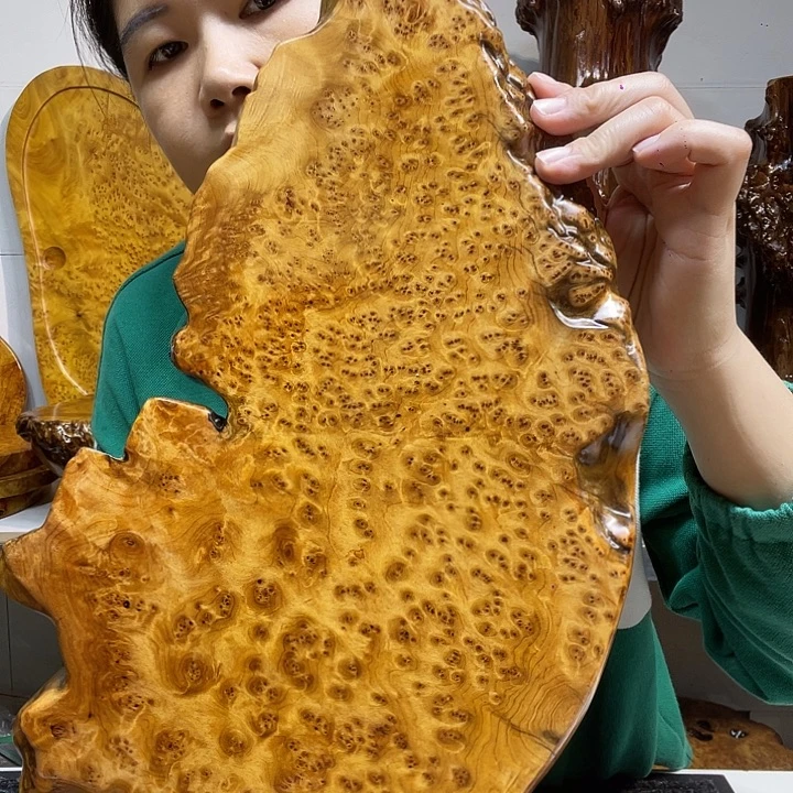 钓***鱼香杉干泡干泡干泡