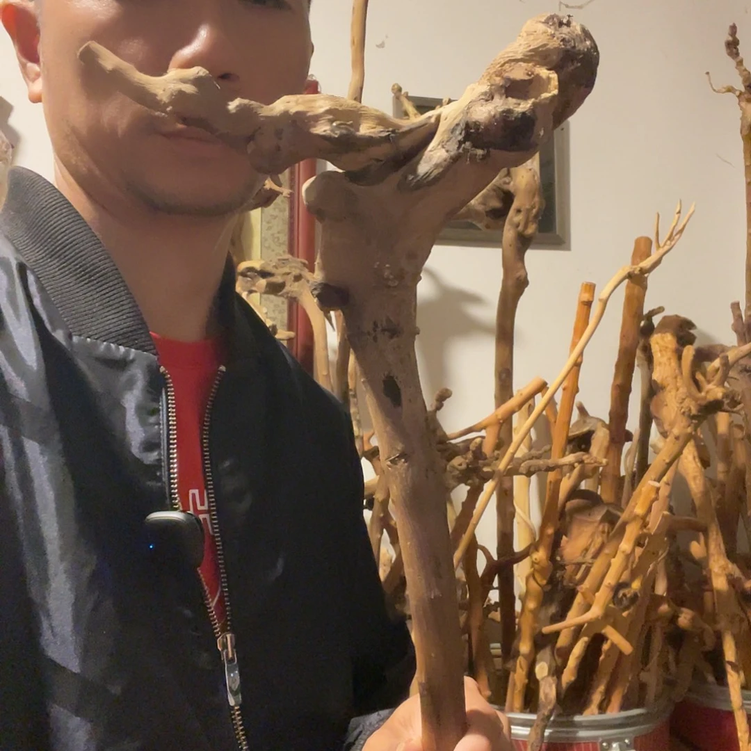 無***量贵州铁马鞭手杖拐杖