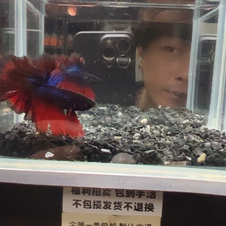 斗鱼竞拍跑单拉黑26日55
