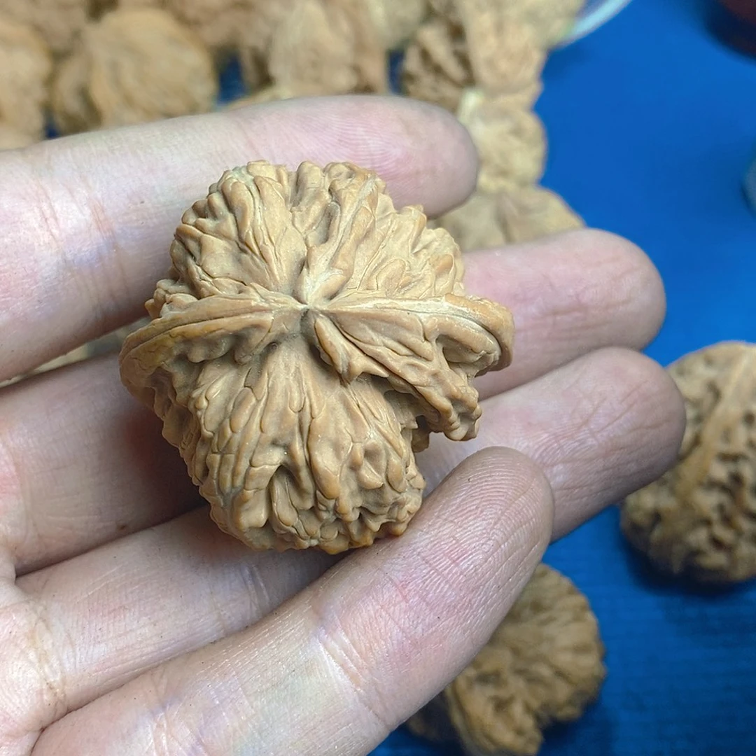 核桃手串/手链没***具38白狮子角