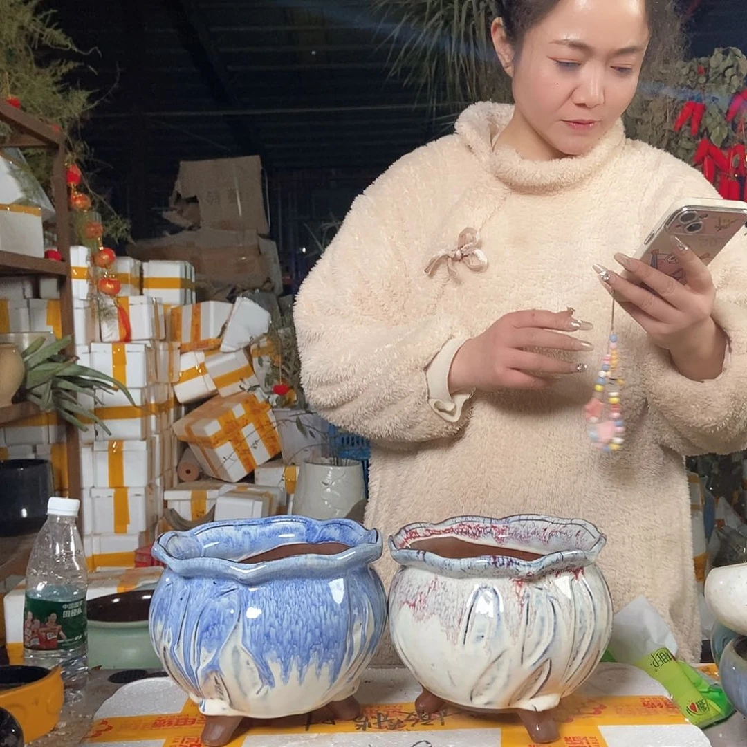 红陶花盆里栽松了