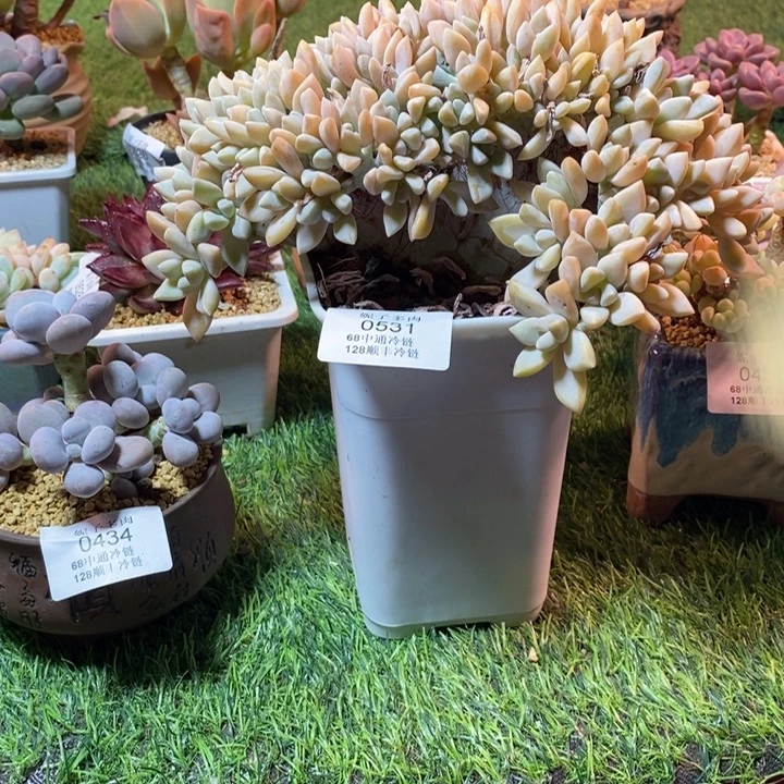 0531啊啊啊啊啊啊啊啊啊啊