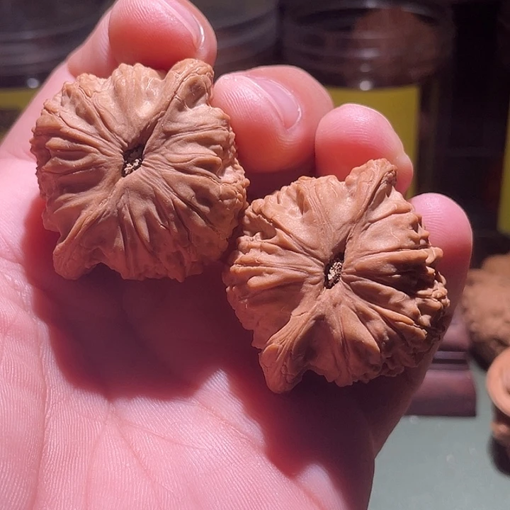 小***贵43头货崔凯核桃核桃