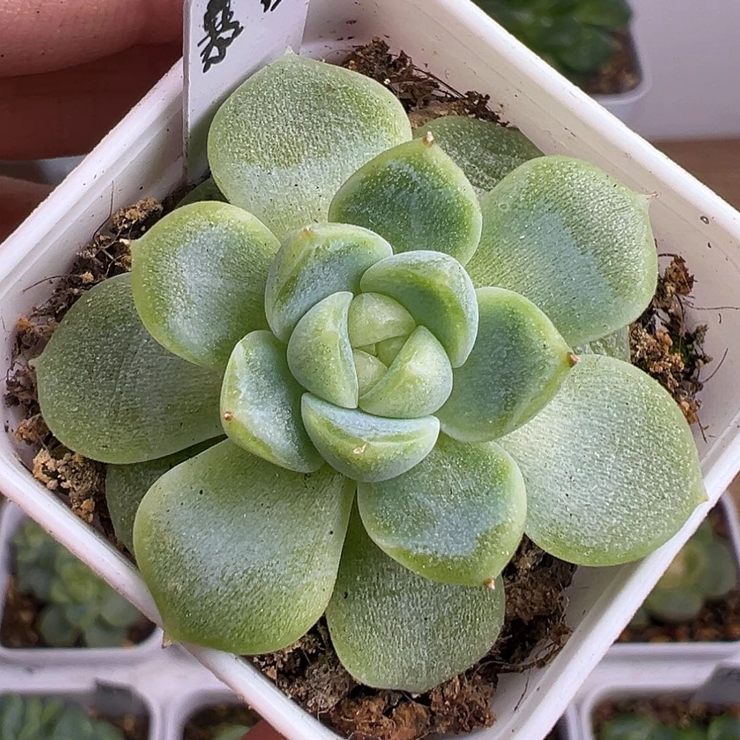 青***面暴富。财富密码。