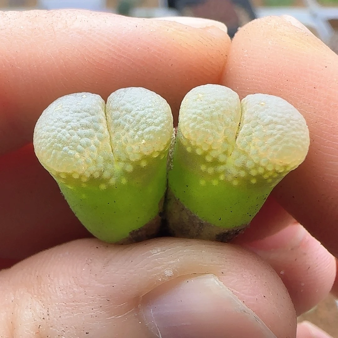 我***卡哈哈哈哈哈哈哈40689