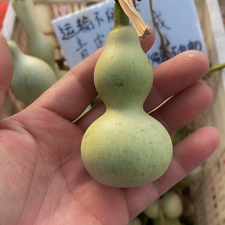 葫*叨哈哈哈哈哈哈哈哈哈哈