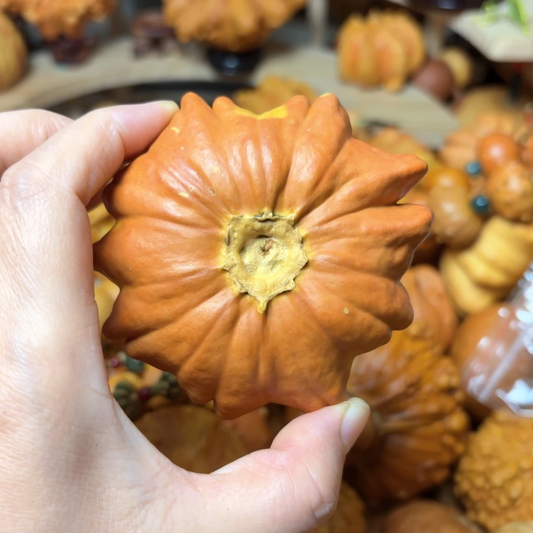 艺*轩特价葫芦不退不换