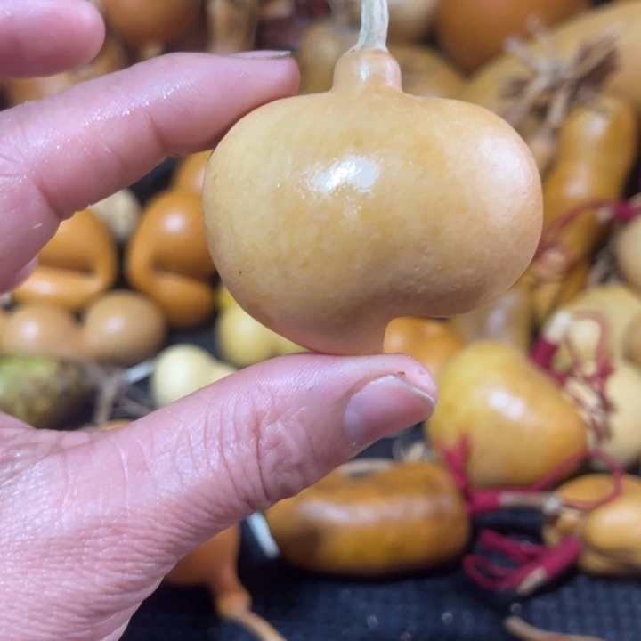 *****葫芦葫哈哈哈哈哈哈